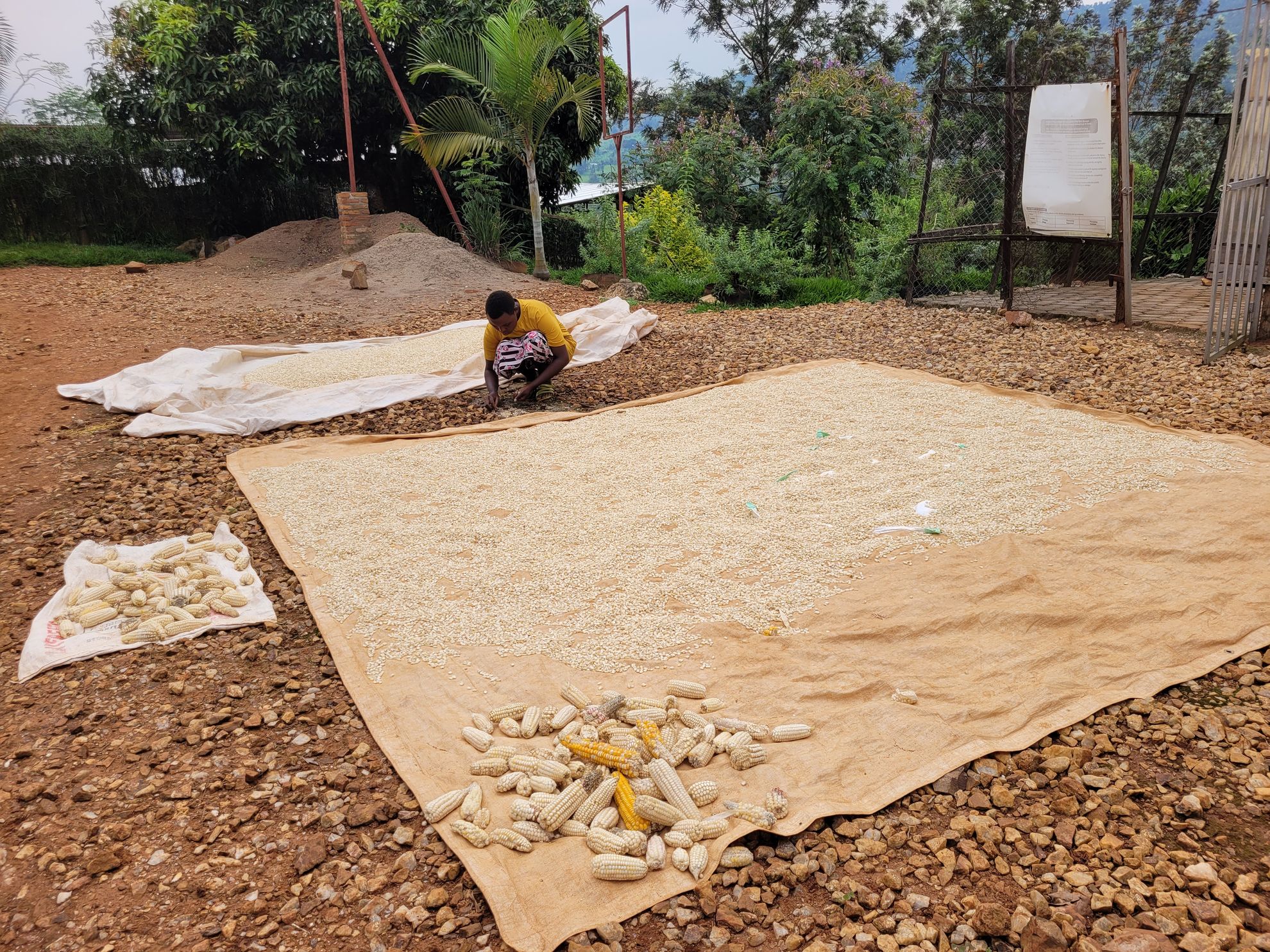 Muyumbu Farm ()