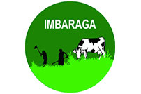 imbaraga logo