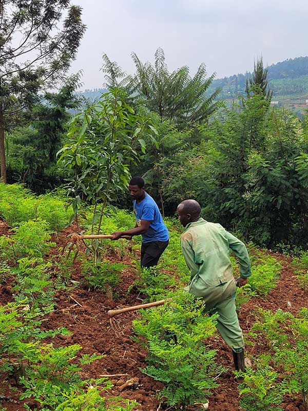 Muyumbu Farm ()