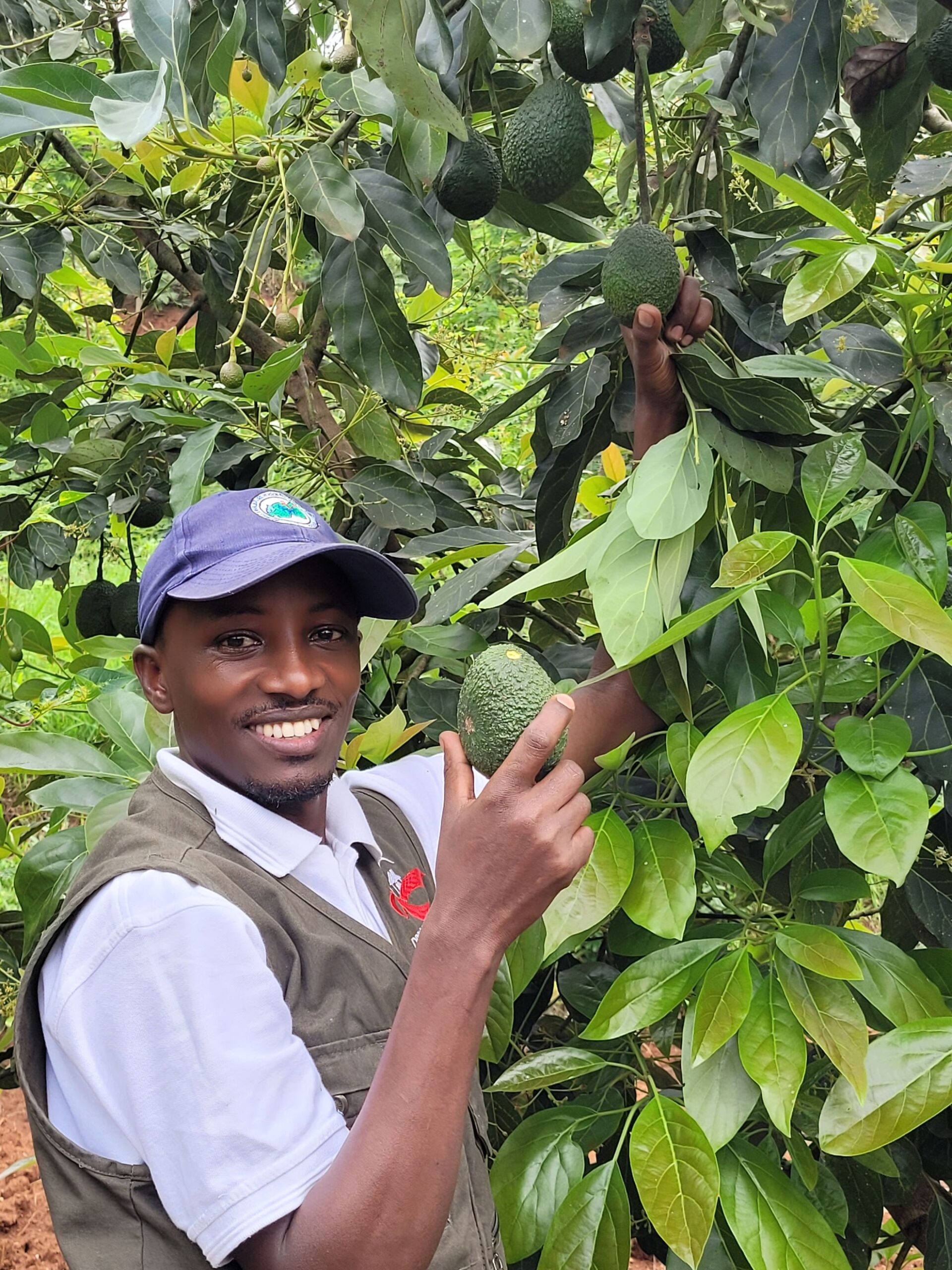 Agriculture Program Agroforestry